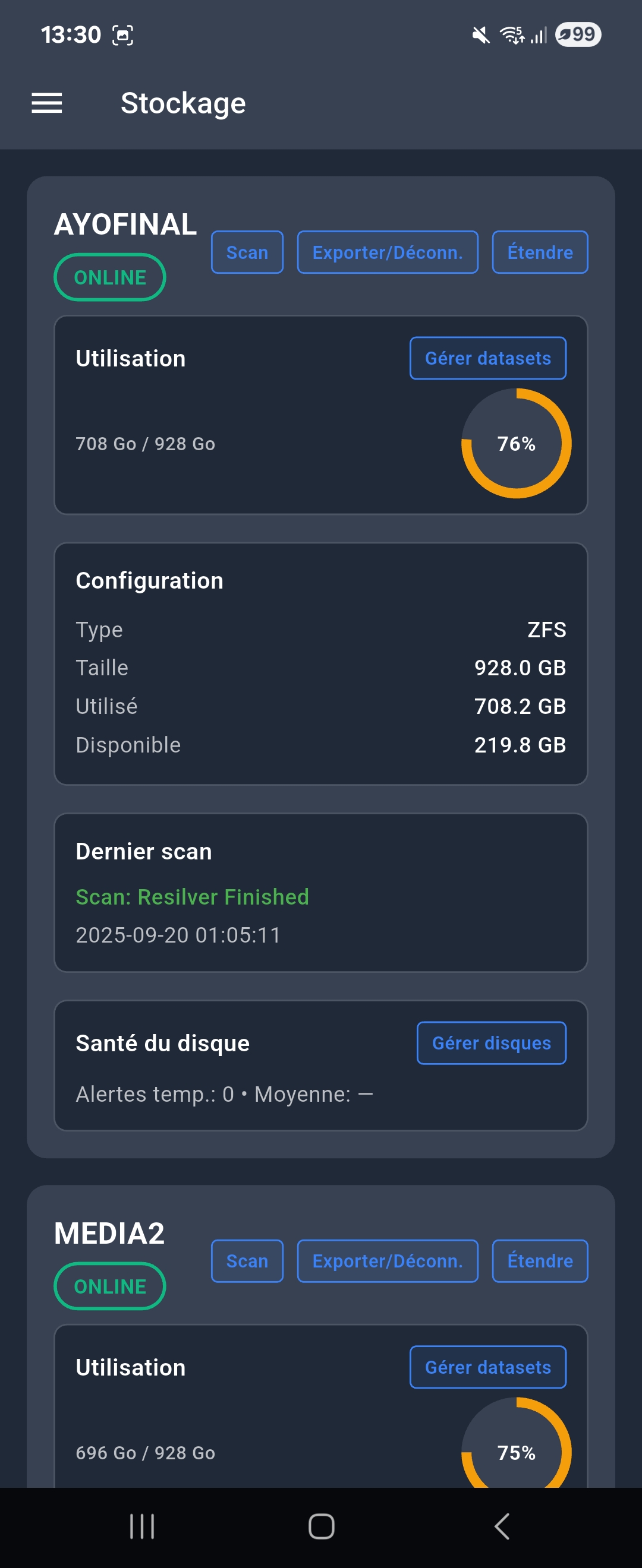 Capture d'écran de la gestion du stockage avec les pools ZFS